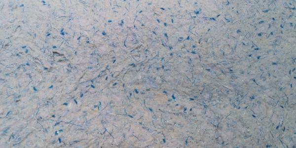 Folyékony tapéta minta