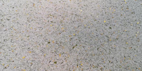 Folyékony tapéta minta